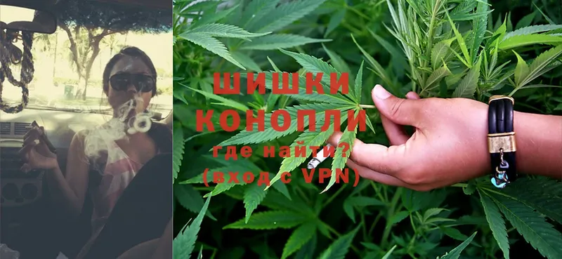 Бошки Шишки White Widow  где продают   Кострома 